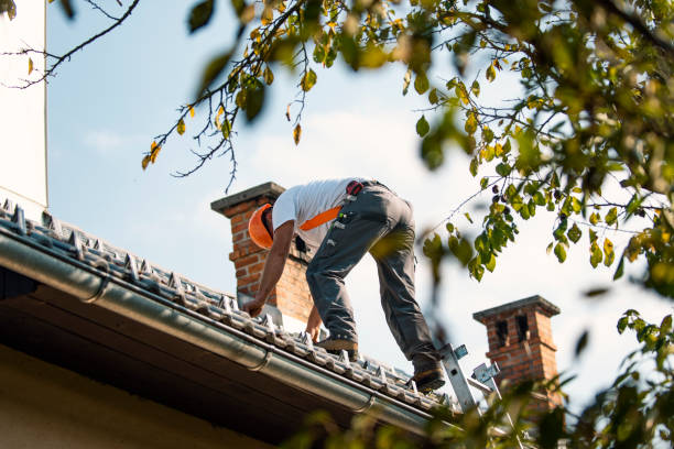 Best Roof Maintenance Services  in Mills River, NC