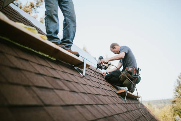 Professional Roofing Contractor in Mills River, NC