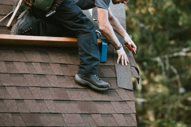 Best Roof Gutter Cleaning  in Mills River, NC