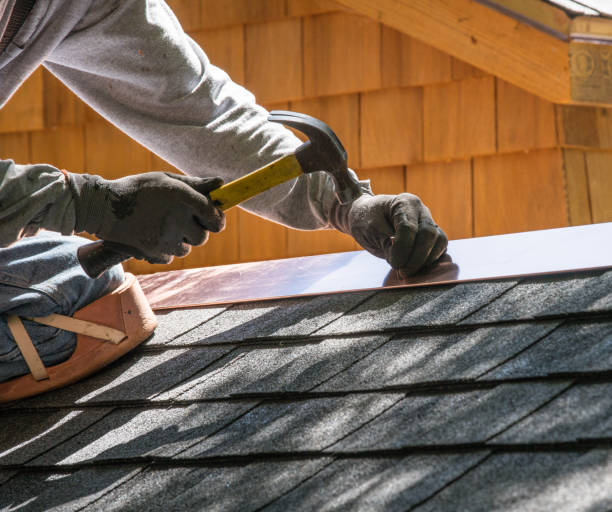 Best Metal Roofing Contractor  in Mills River, NC